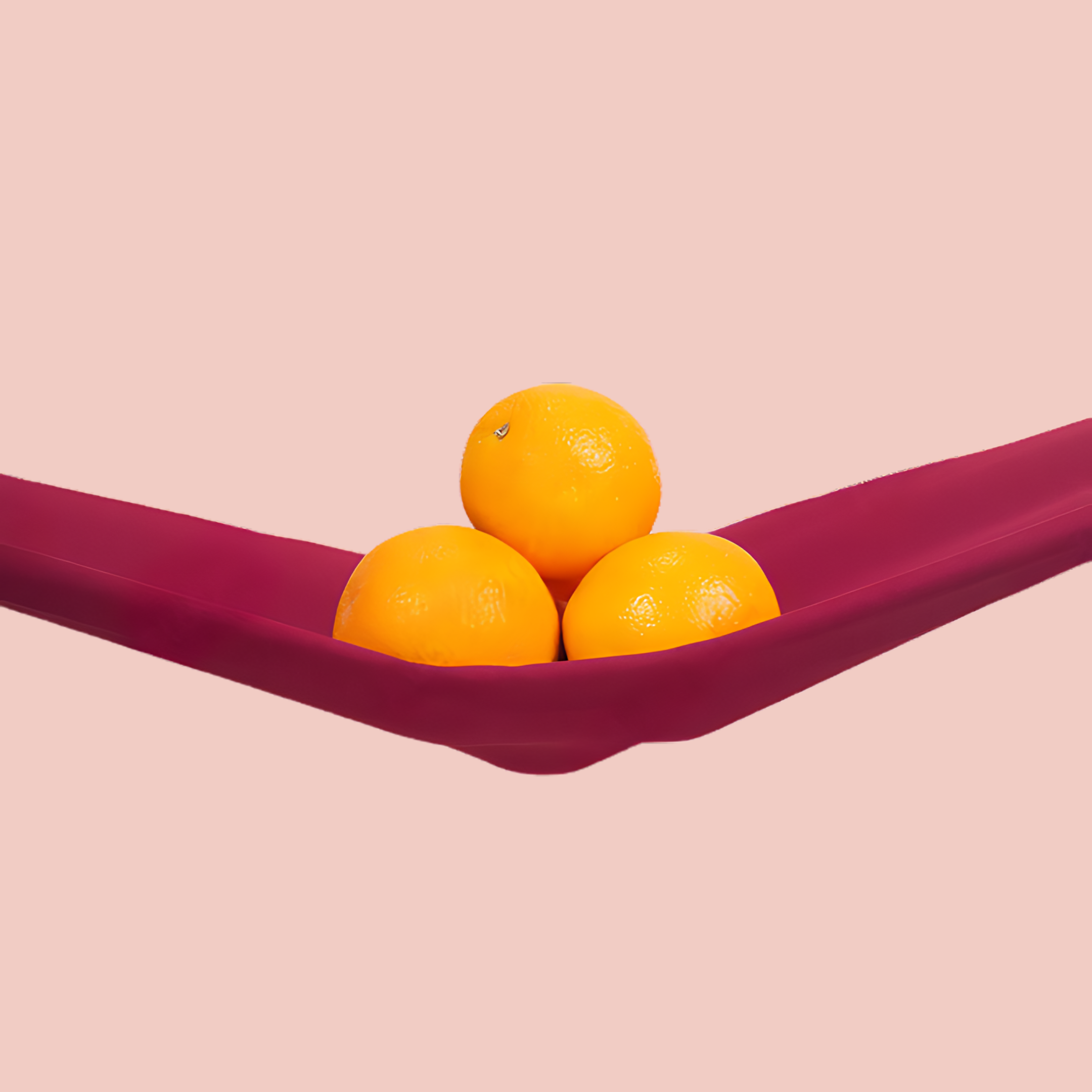 pelvic floor anatomy and health guide